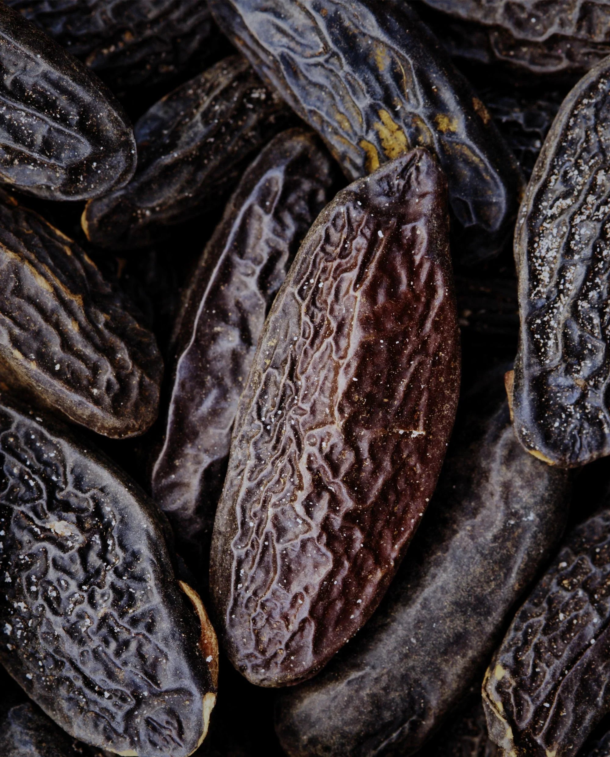 Tonka Bean