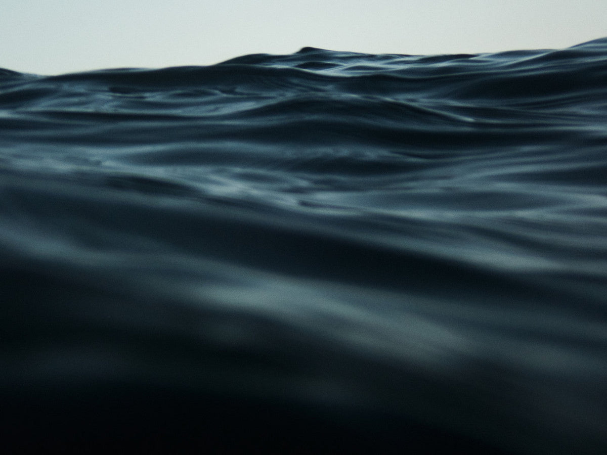 Aquatic/ Marine