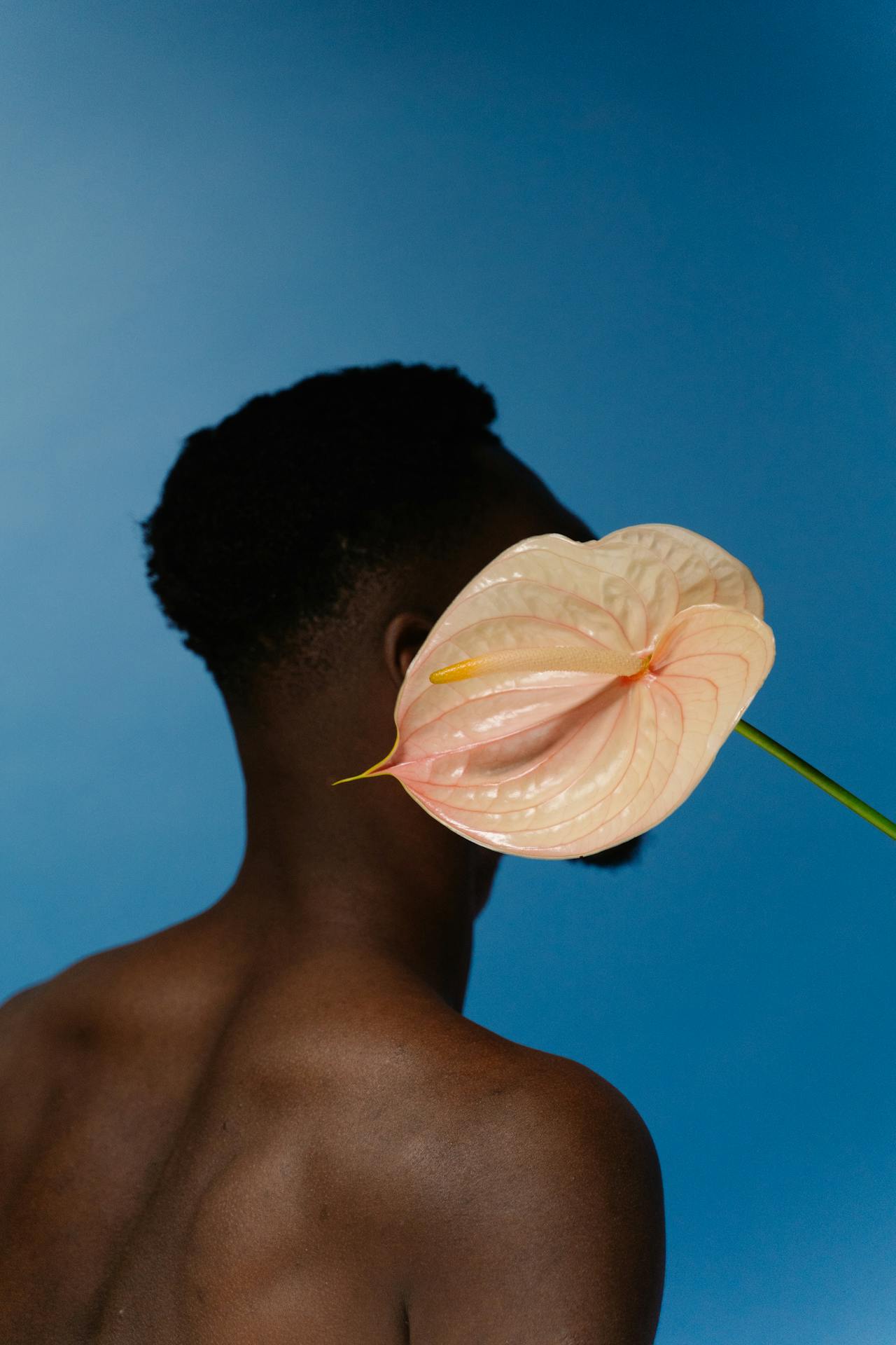 S/S 26