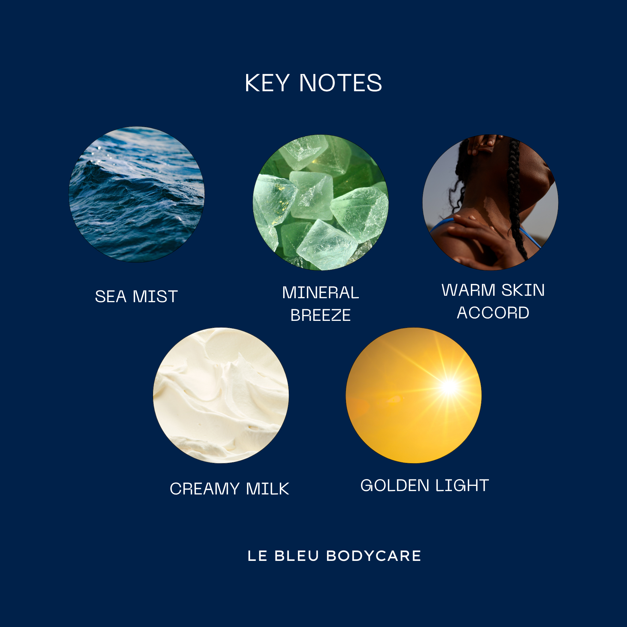Renew Body Oil - Calypso Bleu