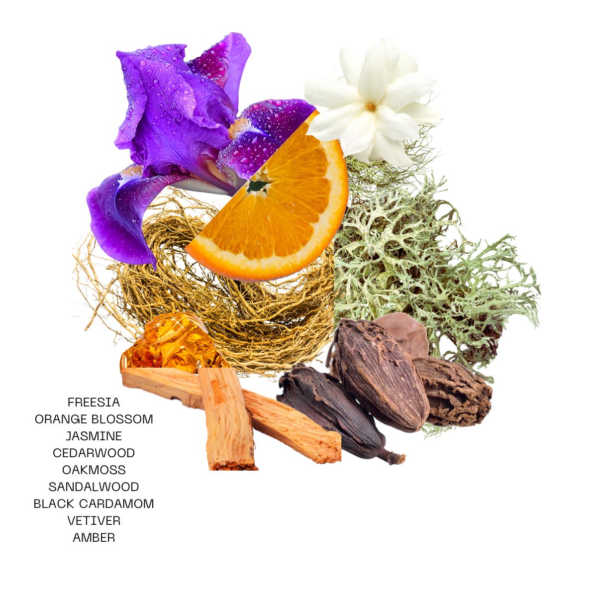Indica Woods Eau de Parfum