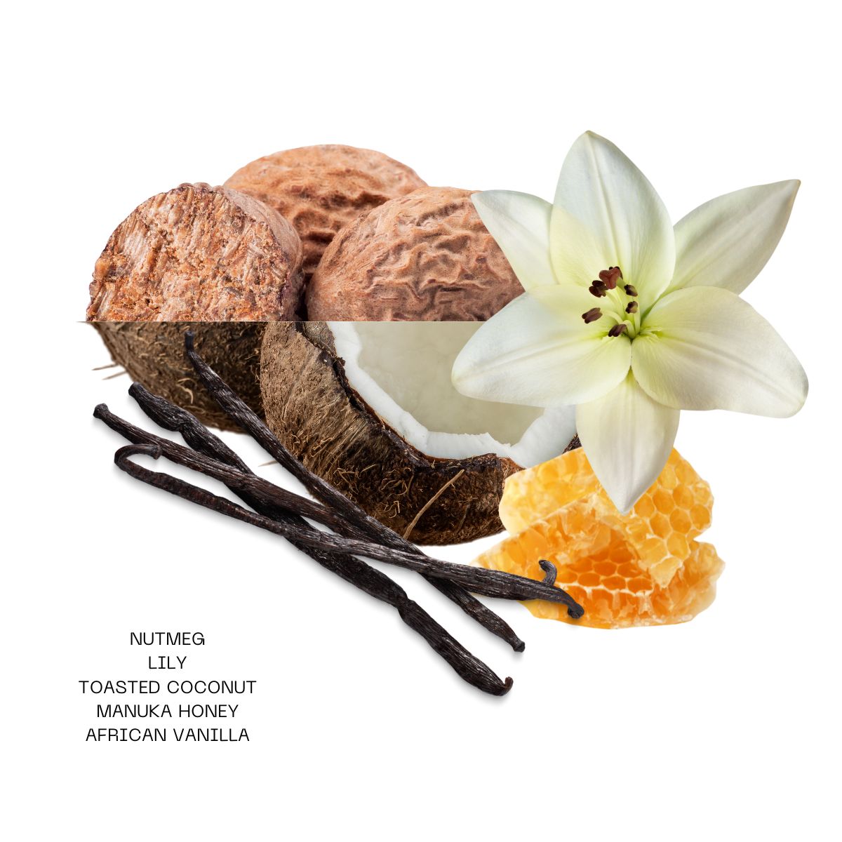 Renew Body Oil - Nude